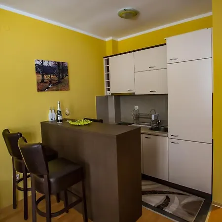 Foka & Wellnes - 600m From Gondola Lift 4*