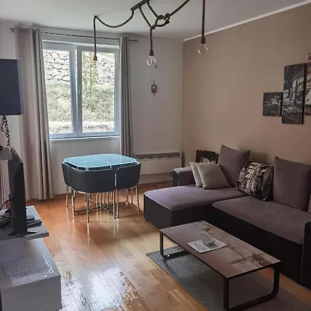 Foka & Wellnes - 600m From Gondola Lift 4* Brzeće