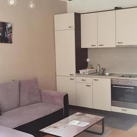 Foka & Wellnes - 600m From Gondola Lift 4*