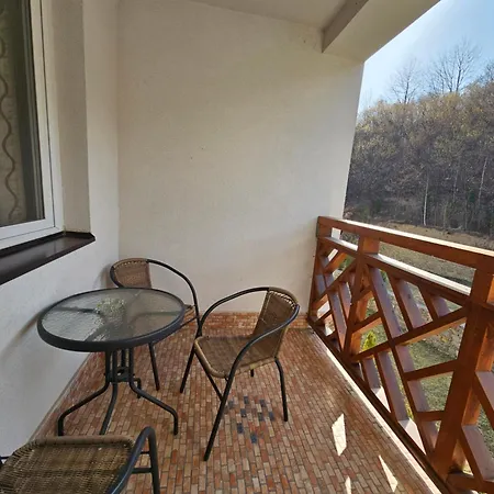 Foka & Wellnes - 600m From Gondola Lift 4* Brzeće